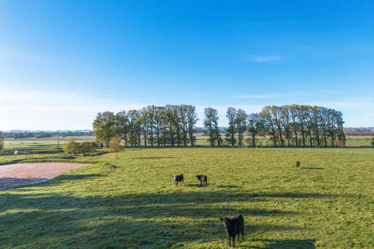 18 JG Wilson Drive Waipukurau_2