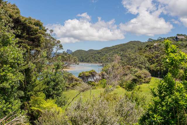 102 Tangiora Avenue Whangapoua_3