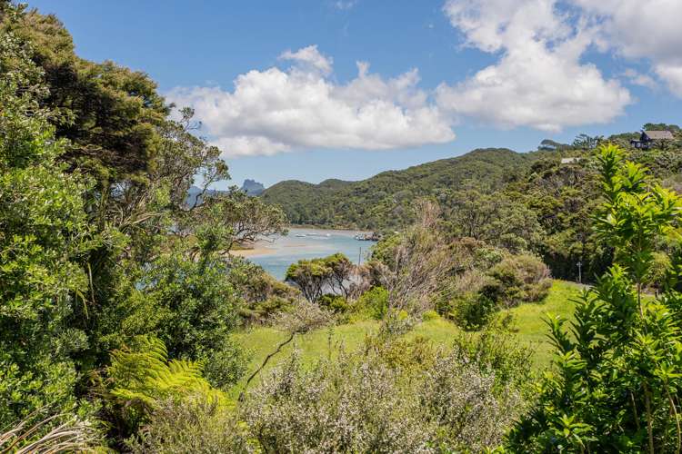 102 Tangiora Avenue Whangapoua_3
