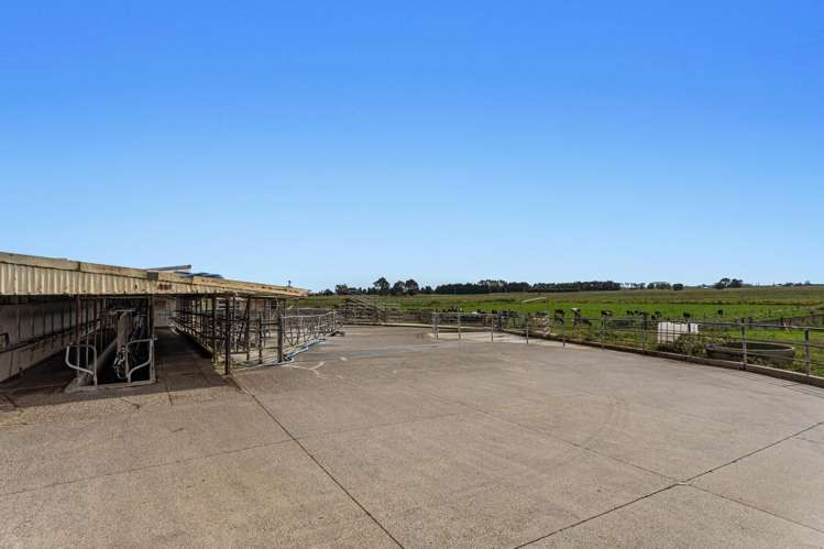 379B Powdrell Road Awakeri_11