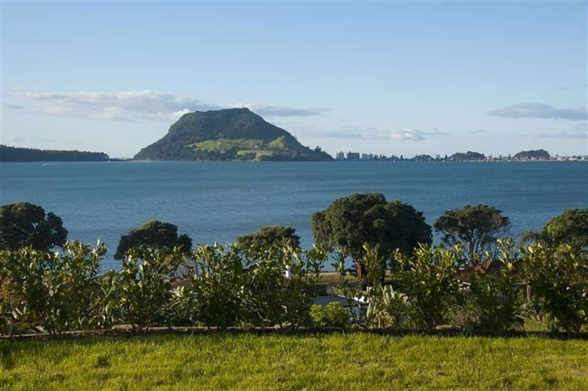 25b Cooneys Drive Matua_0