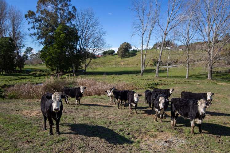 44 Redwood Park Road Redwood Valley_18