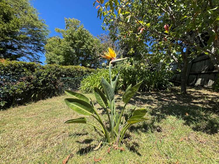 2/47 Vale Road Saint Heliers_18