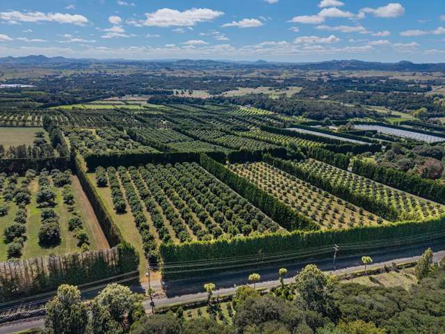 88 Stone Wall Rse Maungatapere_4