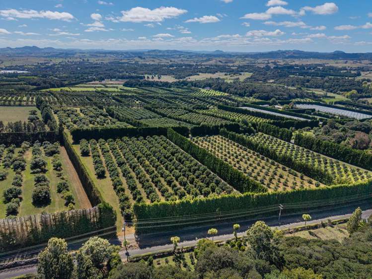 88 Stone Wall Rse Maungatapere_4