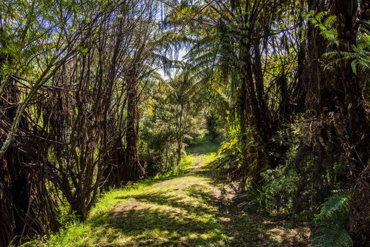 89c Merrick Road Pyes Pa_16