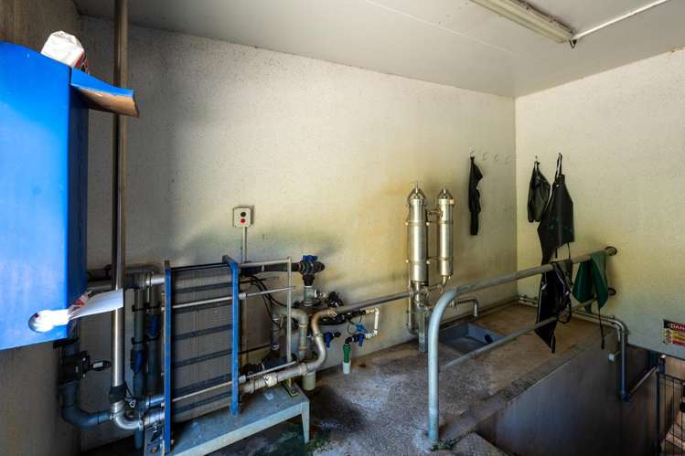 313 Te Wera Road Matawai_5