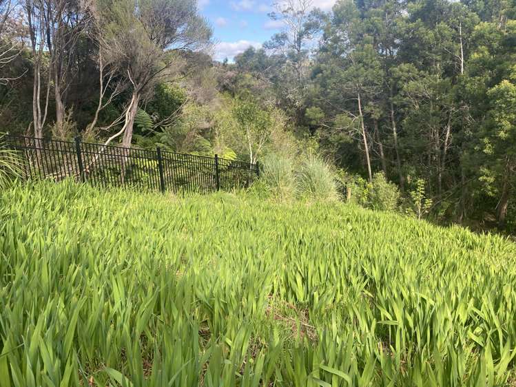 18 Paradise Road Coopers Beach_12