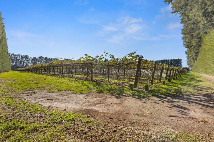 51 Ringer Road Tauwhare_9