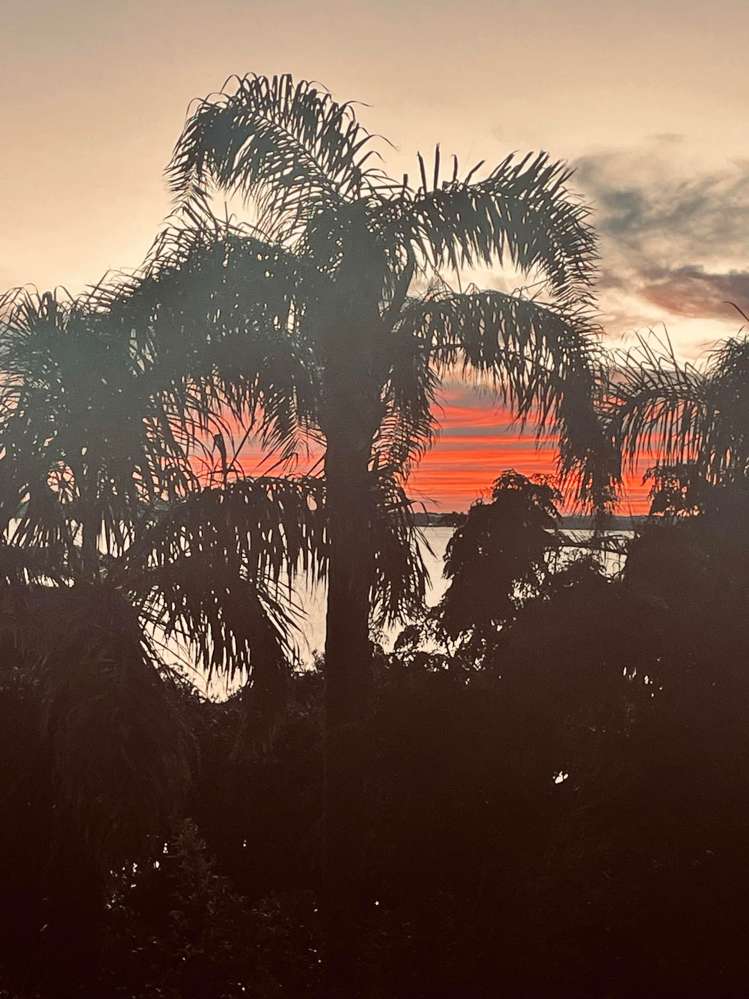 10/67 Sarsfield Street Herne Bay_15