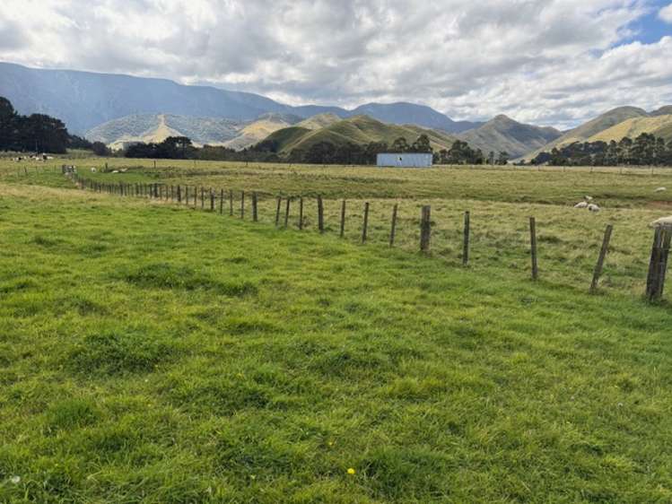 9A Cnr Tamaki East/West Roads Dannevirke_8