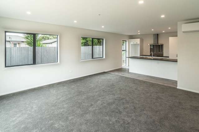 34 Elizabeth Street Levin_3