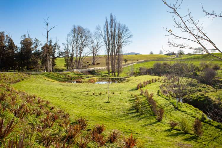 48 Country Lane Matamata_13