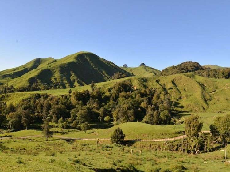 153 Hill Road Te Aroha_8