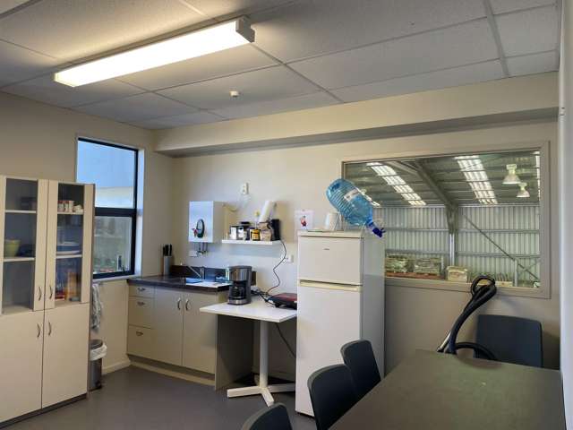 24A McNab Street Kaikorai Valley_3