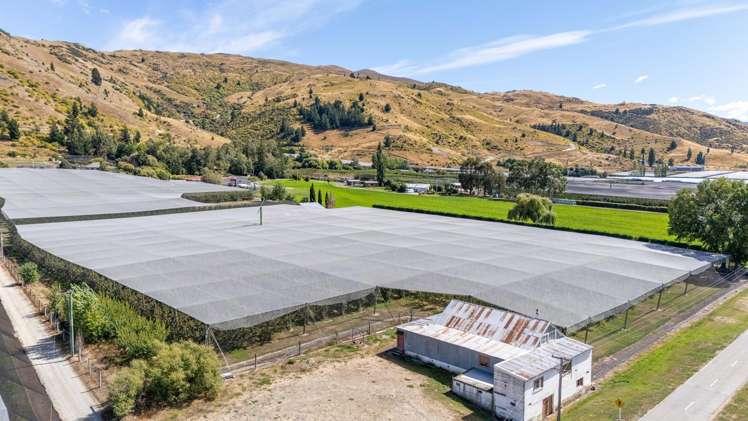 244A Ripponvale Road Cromwell_10