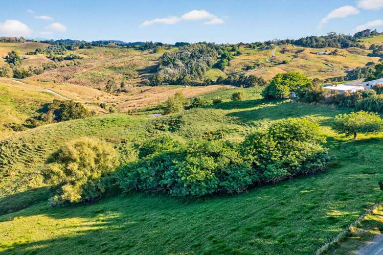 311 Franklin Road Paparoa_43