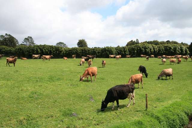 1996 Egmont Road Inglewood_1