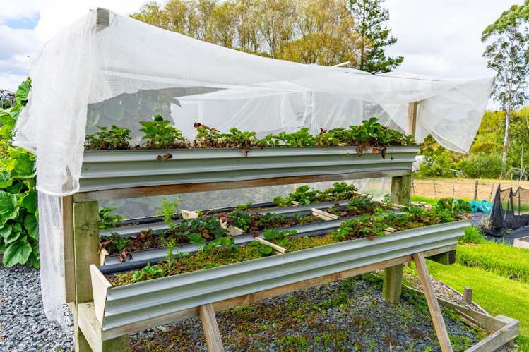 2239B State Highway 12 Paparoa_31