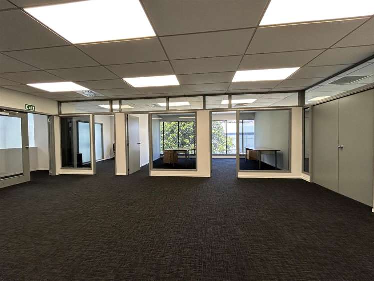 1 McNab Street Penrose_6