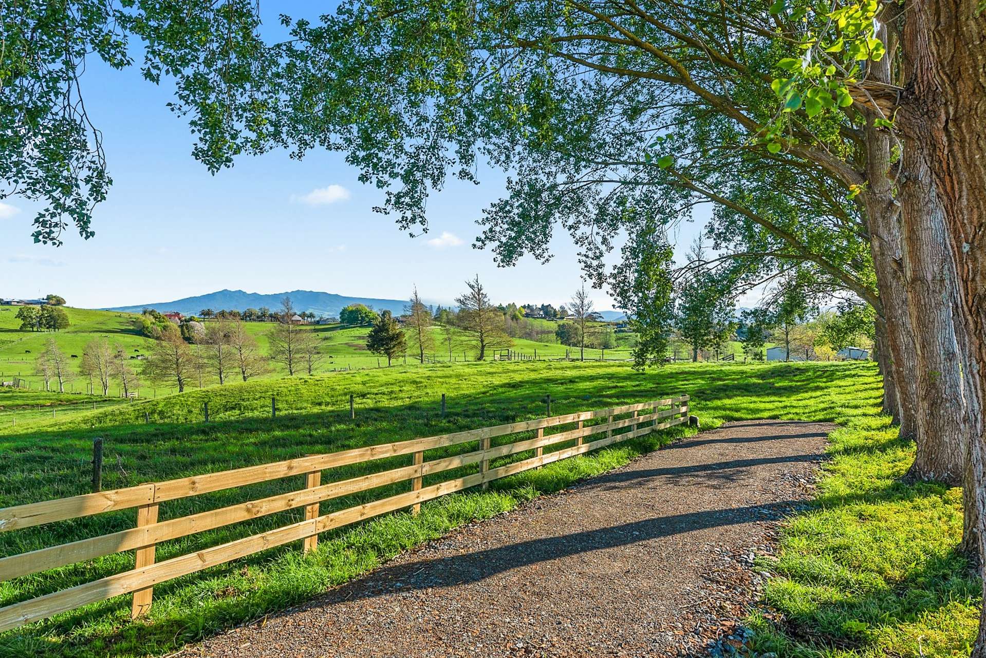 41 Mccandlish Road Ngahinapouri_0