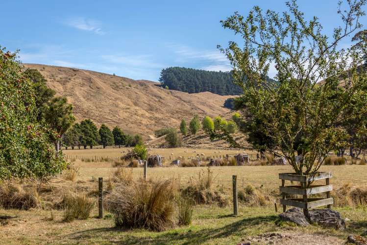 153 Route 52 Ihuraua_21