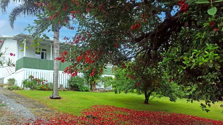 9 French Street Mangapai and Surrounds_16