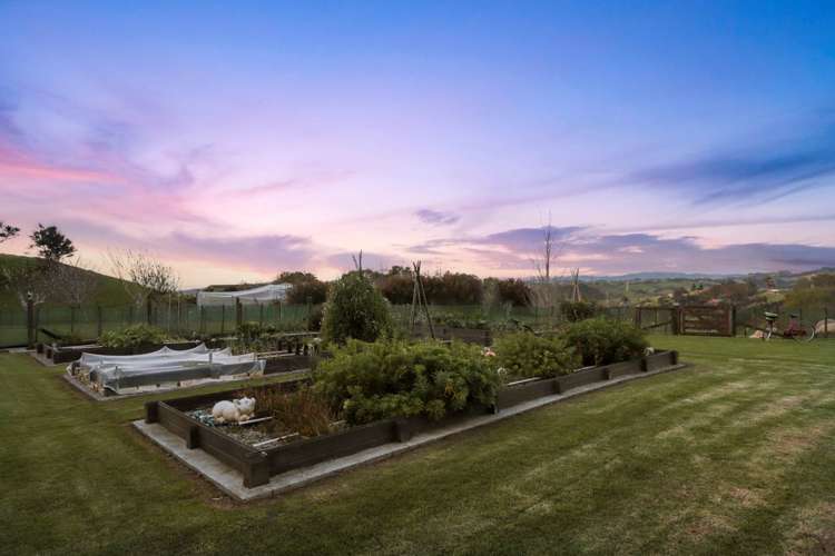 319a Wishart Road Helensville_31