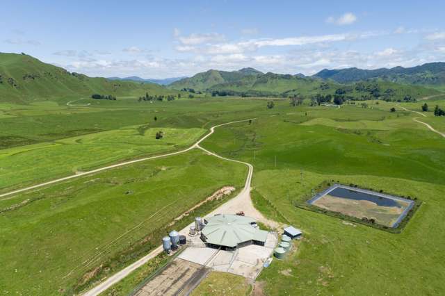 313 Te Wera Road Matawai_2