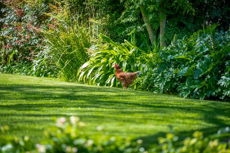 14 Tamihana Avenue Fairfield_23