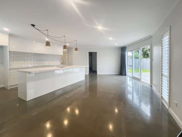 68b Manson Street 2145_3