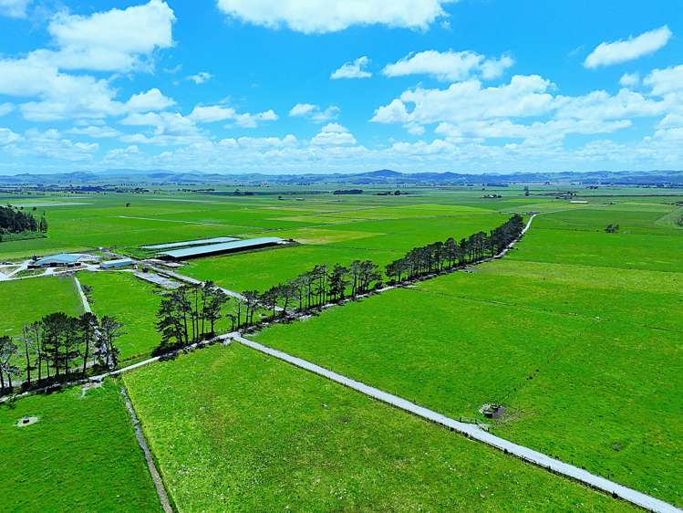 331 Simpson Road Ruawai_10