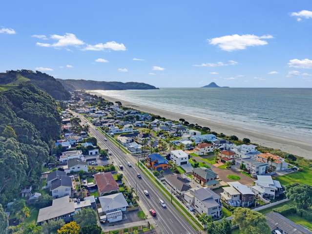 218 Pohutukawa Avenue Ohope_3
