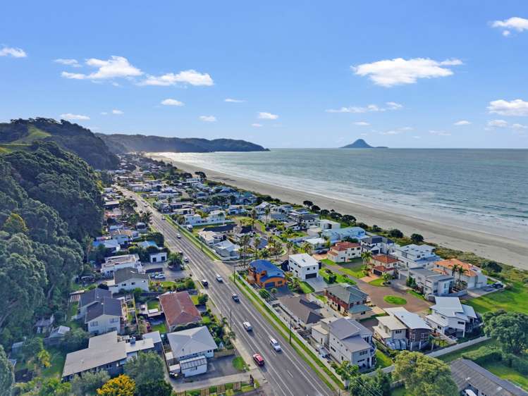 218 Pohutukawa Avenue_2