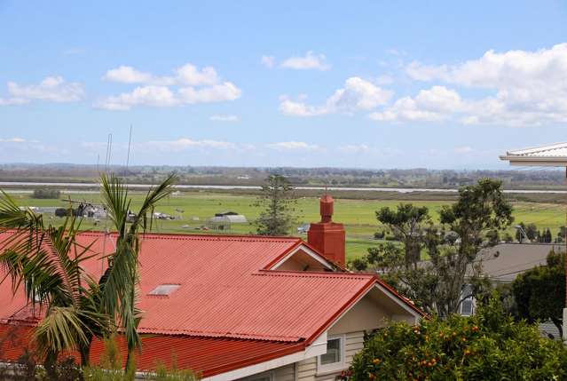 113 Kingsford Place Thames_2