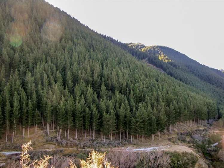 3778 Waihopai Valley Road Waihopai Valley_2