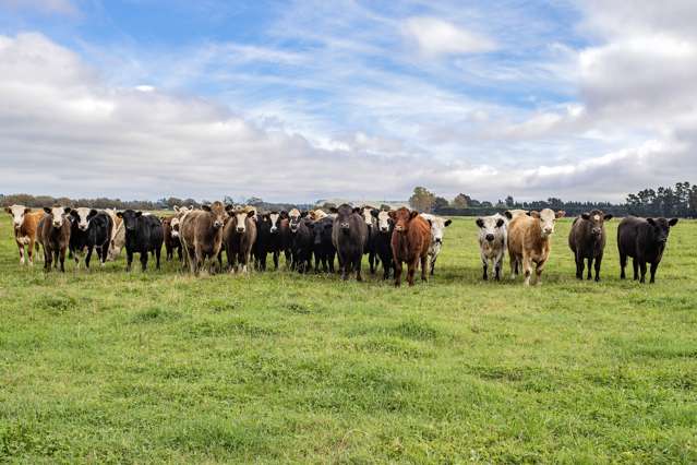 169 Bennetts Road Oxford_1