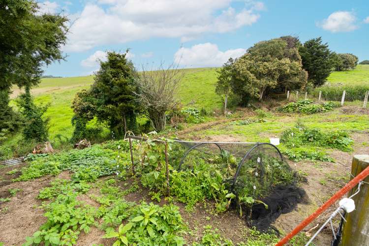 2433 Mangakahia Road Pakotai_30