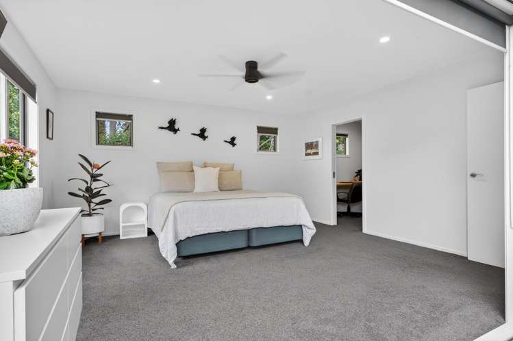 379C Tara Road Mangawhai_10
