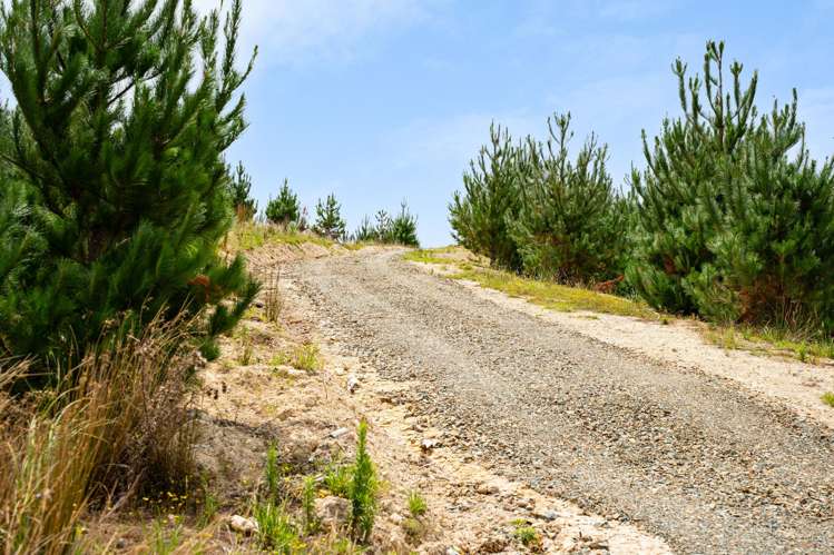 Lot/12 Arcadia Road Paparoa_16