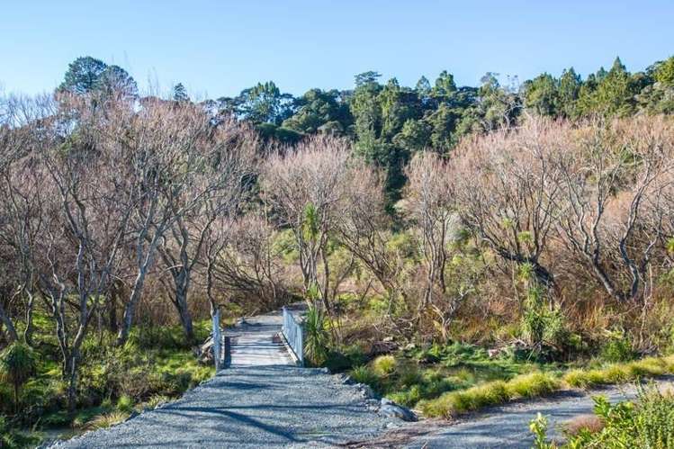 48/5 Perekia Street Albany_13