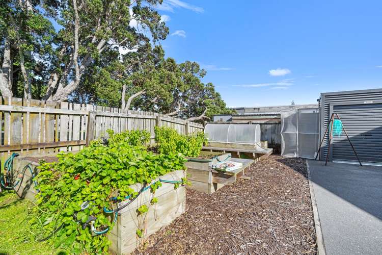 243 One Tree Point Road One Tree Point_34