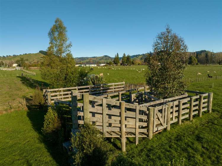 82 Thorn Road Dovedale_17