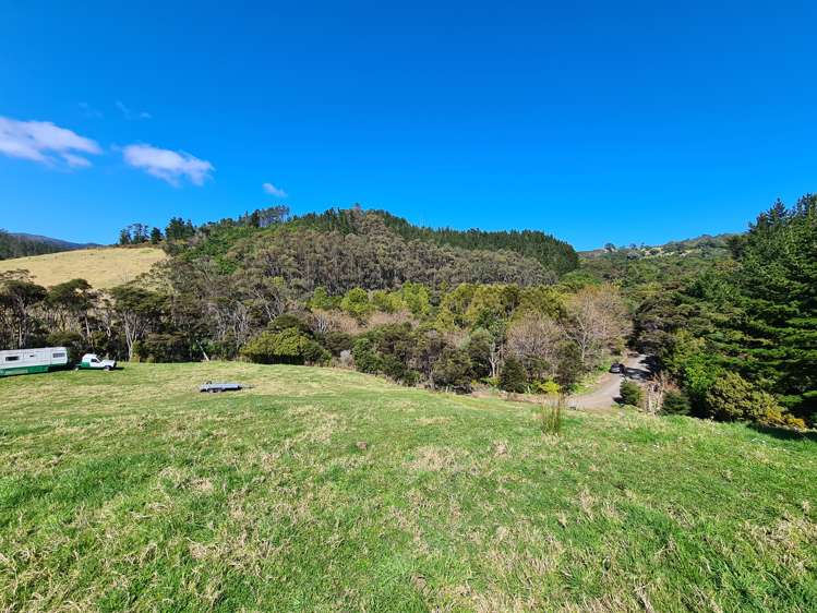 110 Wood Road, Colville Coromandel_16