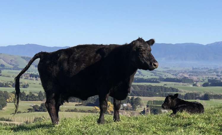 Millars Road Carterton_11