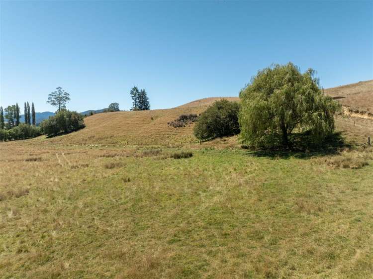 Tadmor-Bushend Road Tapawera_9