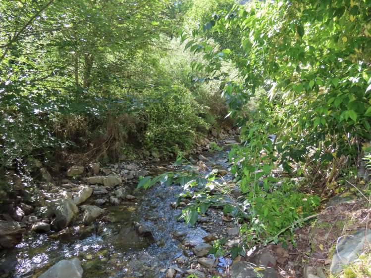 37 Franklyn Street Blacks Point_12