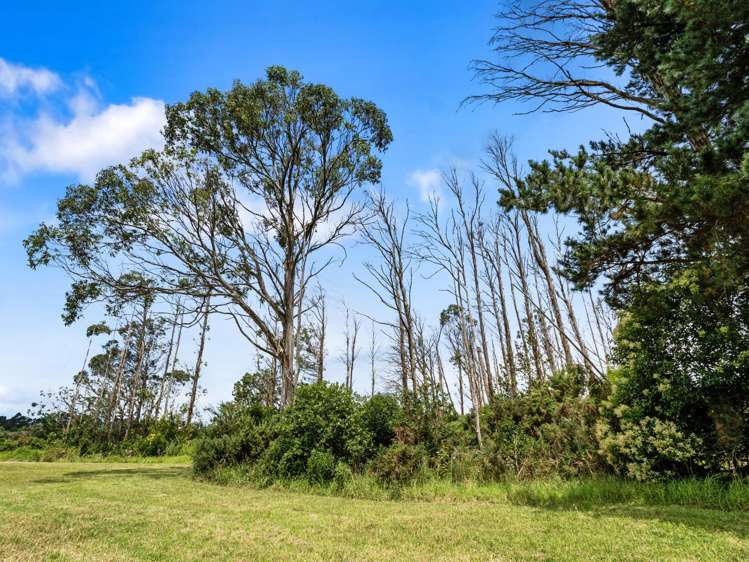 30B Thompsons Track Aongatete_15