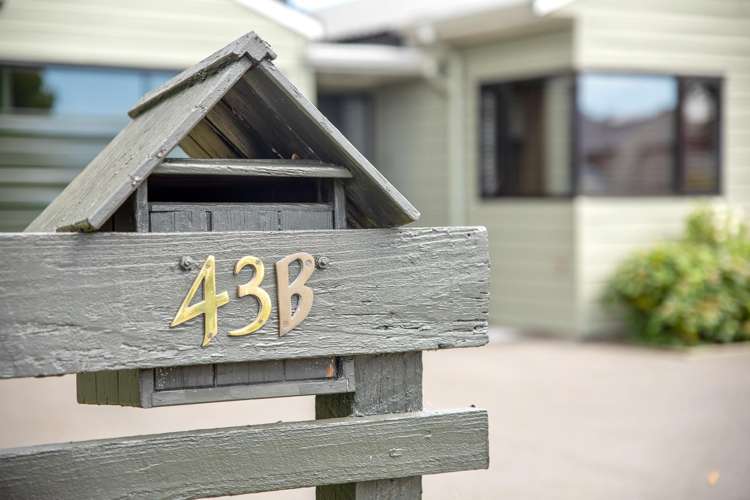 43b Murphys Road Springlands_22