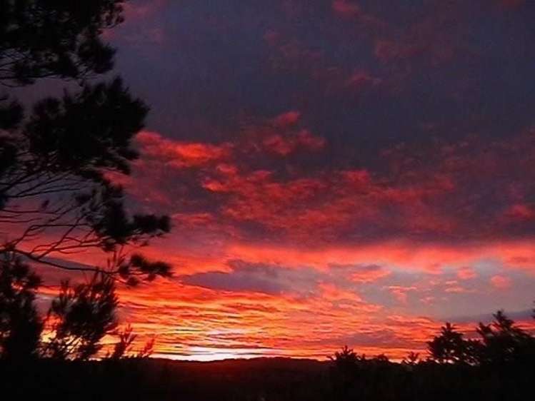 34 Grendon Road Titirangi_2